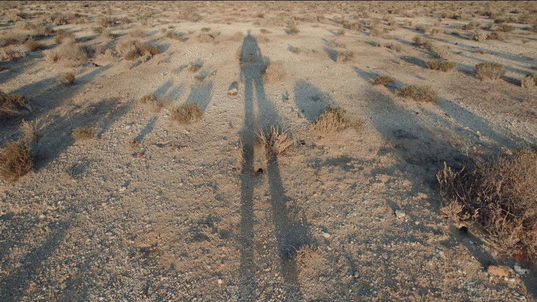 кадр из фильма Бардо