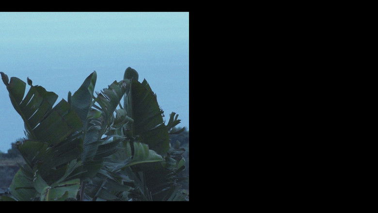 кадр из фильма Metonimia