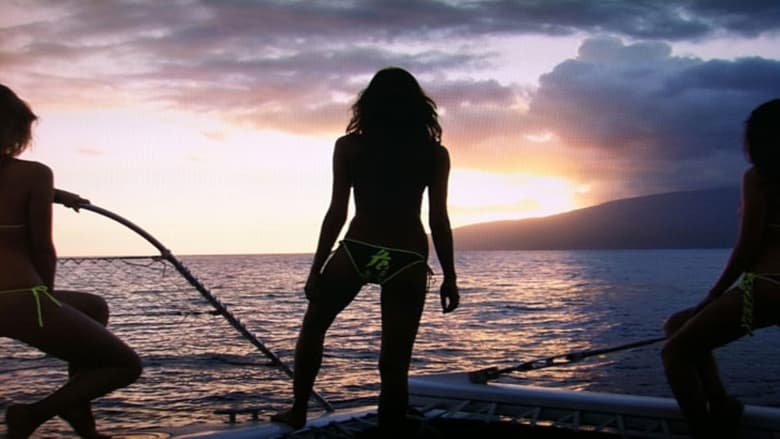 Sports Illustrated Swimsuit 2011: The 3D Experience