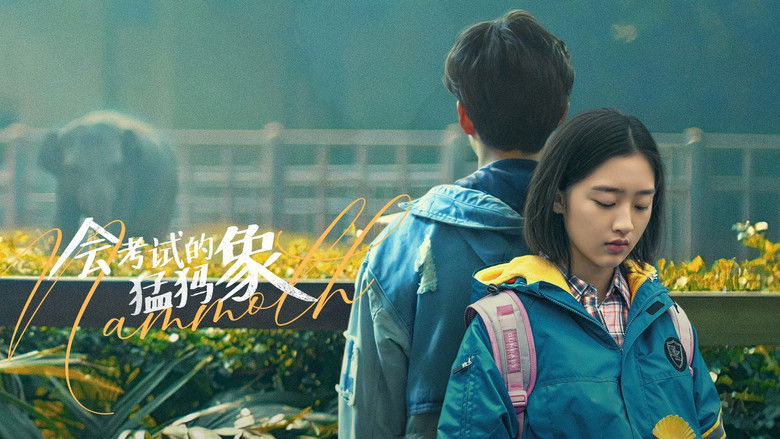 кадр из фильма 会考试的猛犸象