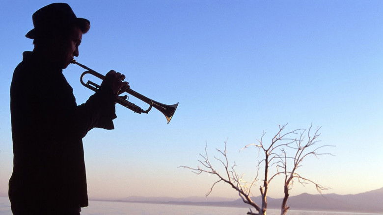 кадр из фильма Море Солтона