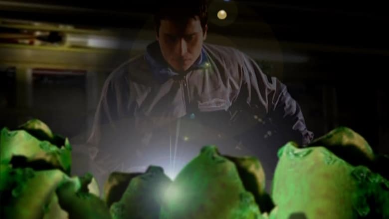 кадр из фильма Flight to Hell