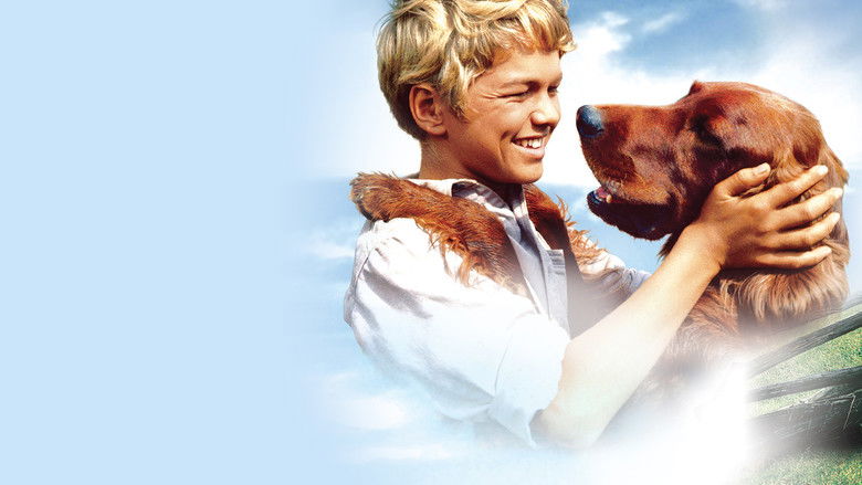 кадр из фильма Big Red