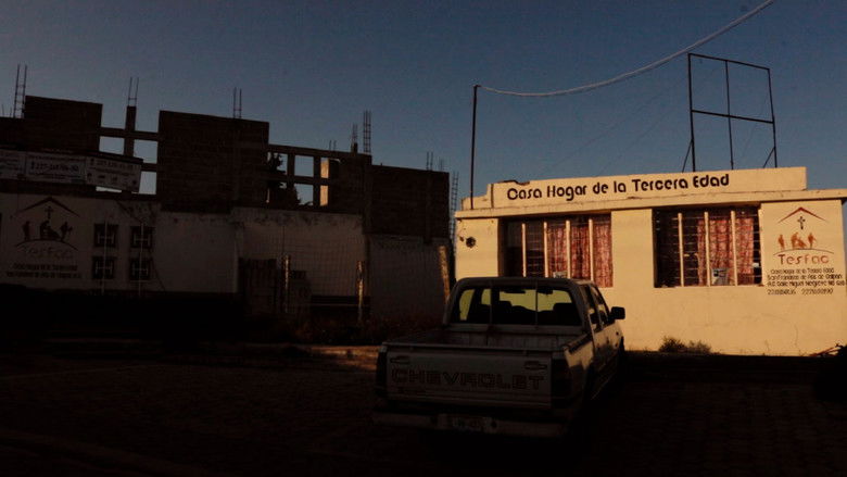 кадр из фильма Se Siembran Flores