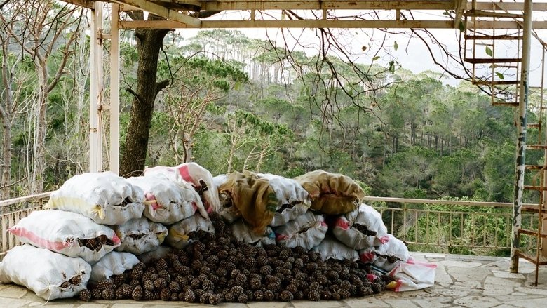 кадр из фильма تدور