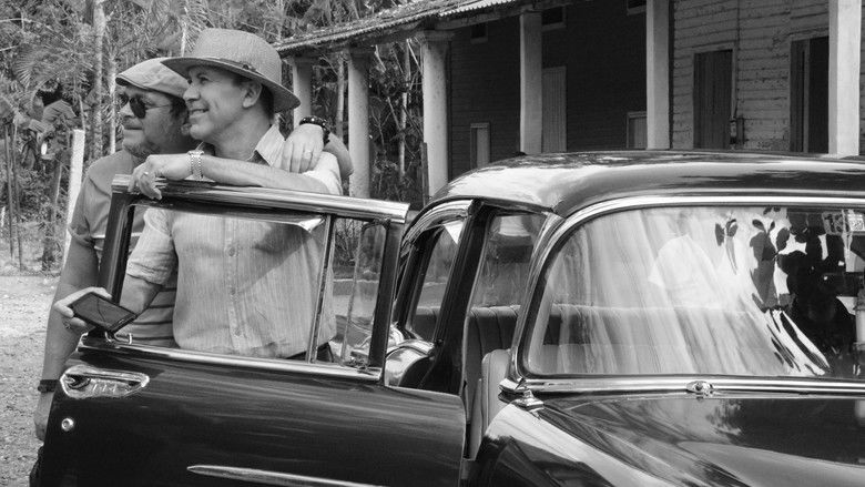 кадр из фильма Mambo Man