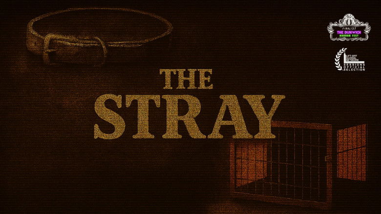 кадр из фильма The Stray