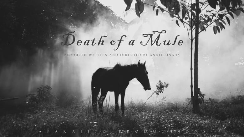 кадр из фильма Death of a Mule