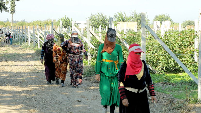 кадр из фильма Tevî her tiştî