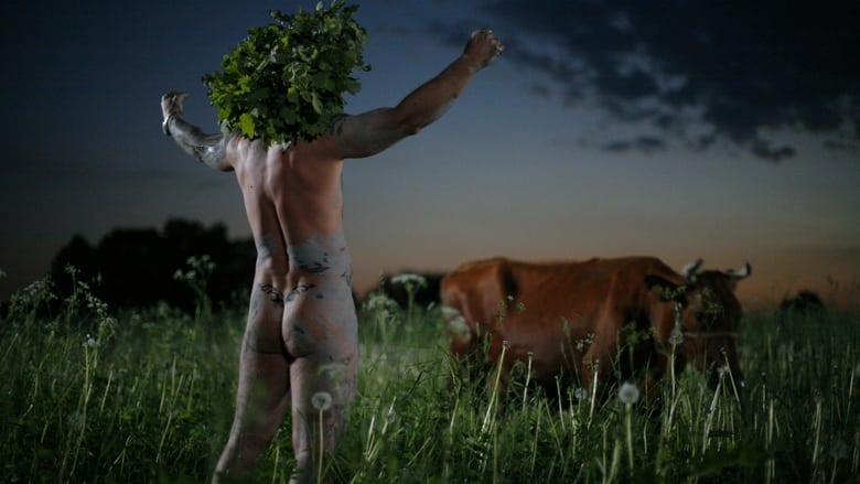 Летнее безумие