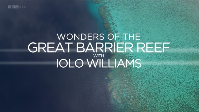кадр из фильма Wonders of the Great Barrier Reef with Iolo Williams