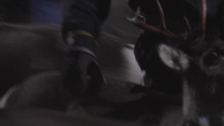 кадр из фильма Northern Drift