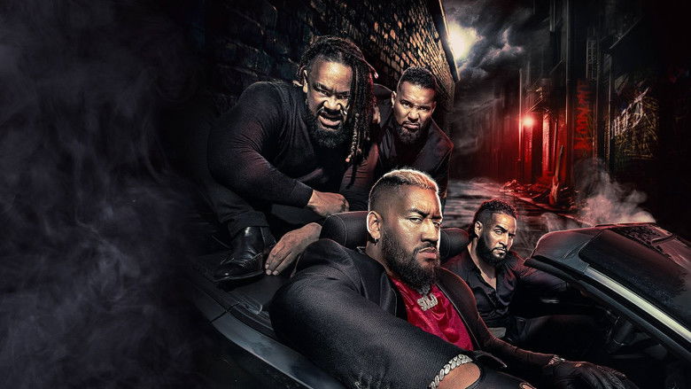 кадр из фильма WWE SummerSlam 2024