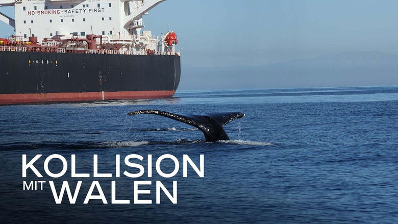 кадр из фильма Collision