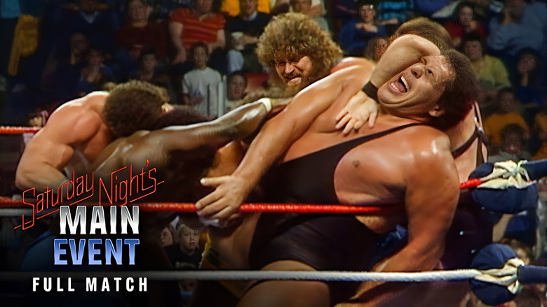 WWF 20-Man Battle Royal 1987