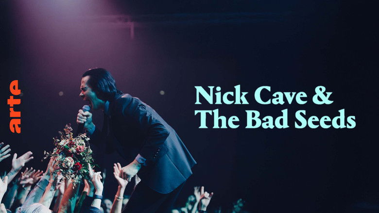 кадр из фильма Nick Cave & The Bad Seeds: The Wild God Tour