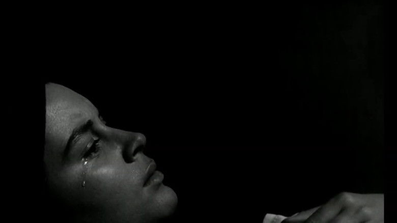 кадр из фильма Este es el romance del Aniceto y la Francisca, de cómo quedó trunco, comenzó la tristeza y unas pocas cosas más…