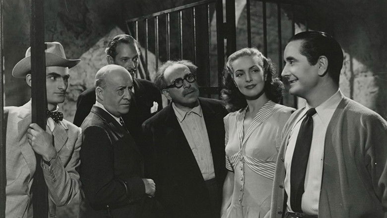 кадр из фильма One Night with You