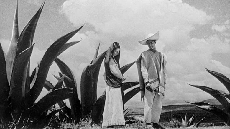 кадр из фильма Время на солнце