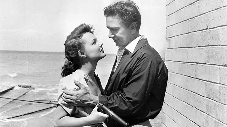 Розыск на шоссе