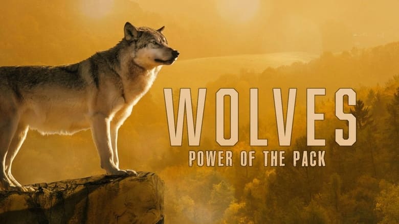 кадр из фильма Wolves: Power of the Pack