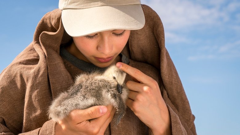 кадр из фильма Расправь крылья