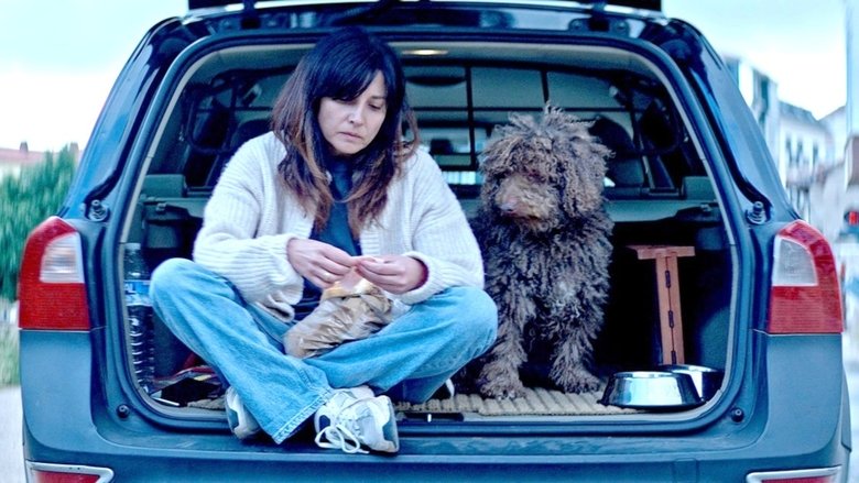 кадр из фильма Lobo