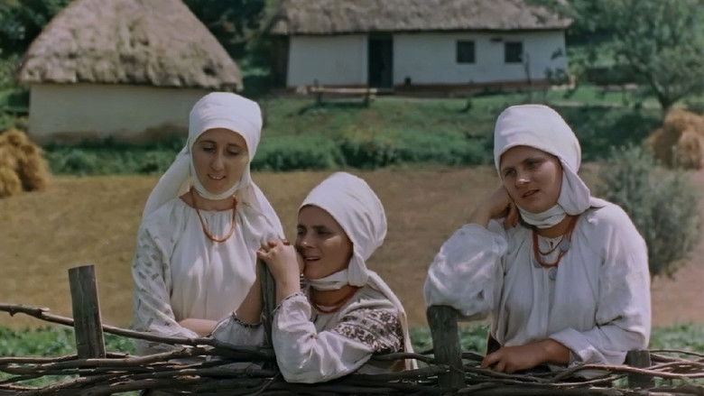 кадр из фильма Пропавшая грамота