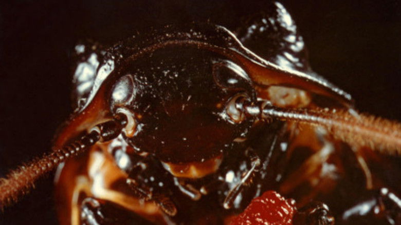 кадр из фильма Bug