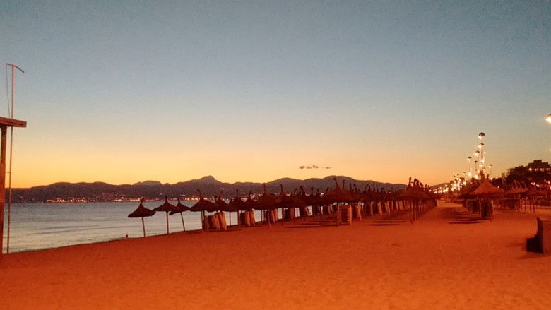 кадр из фильма Malle