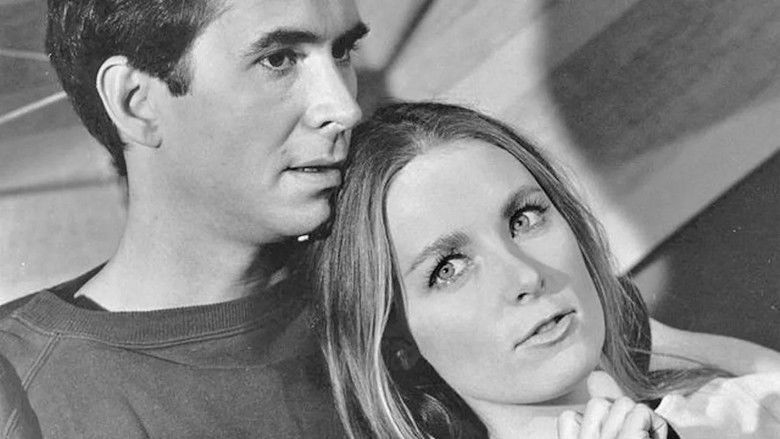 кадр из фильма Evening Primrose