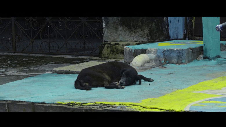 кадр из фильма Rua da Felicidade