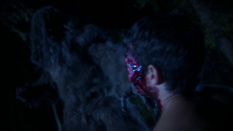 кадр из фильма Boggy Creek