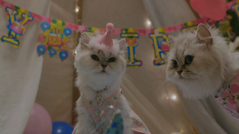 кадр из фильма 오늘도 위위