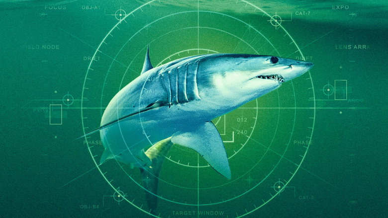 кадр из фильма World's Biggest Mako