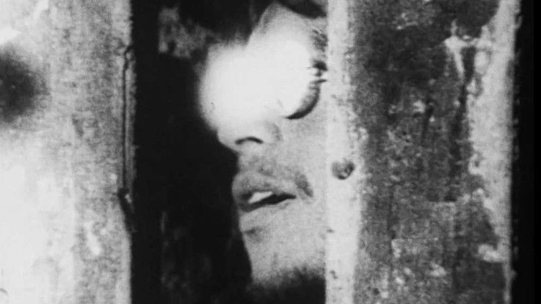 Io ho fissato il fuoco per sempre