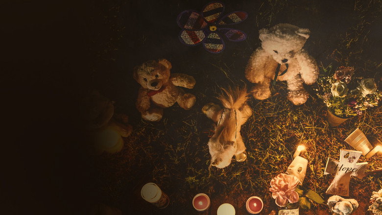 кадр из фильма The Murder of Gabby Petito: What Really Happened