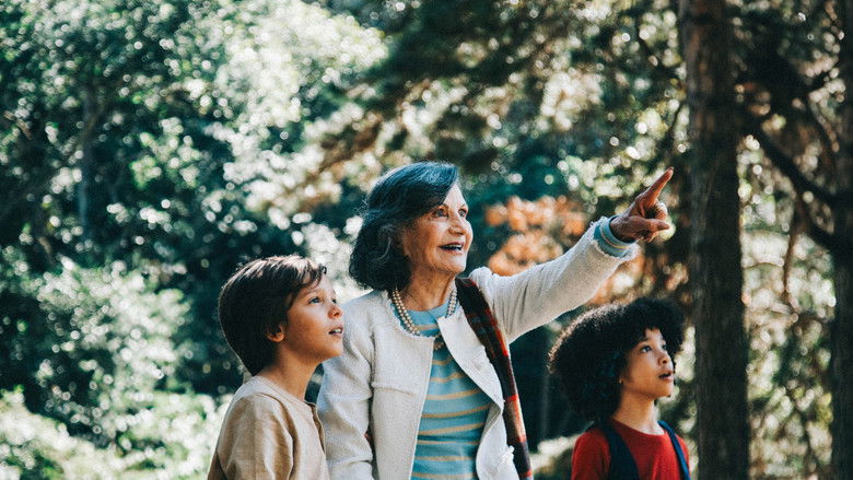 кадр из фильма É Tempo de Amoras