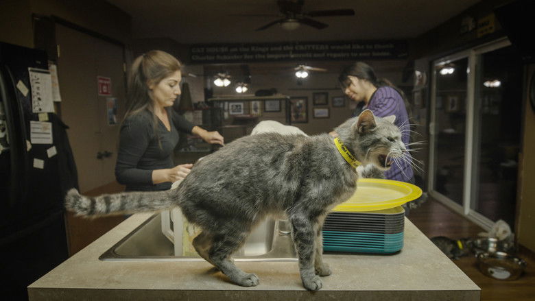 кадр из фильма Empire félin