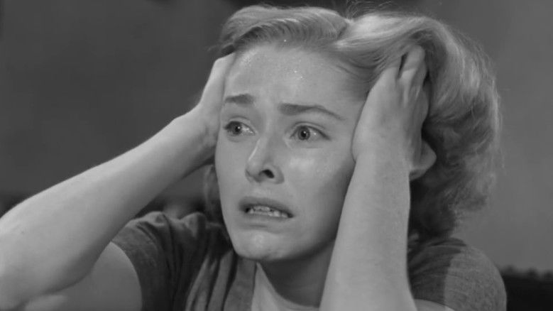 кадр из фильма В клетке