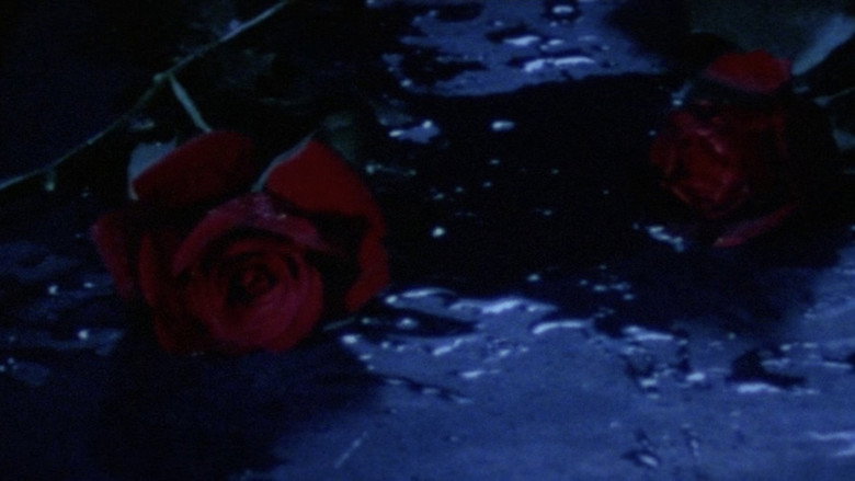 кадр из фильма 天使のはらわた 赤い教室