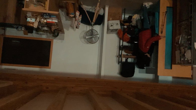 кадр из фильма Anemoia