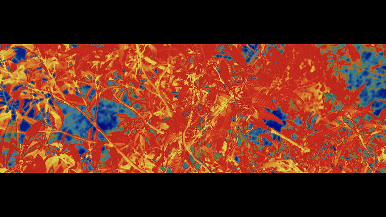 кадр из фильма Computational Compost