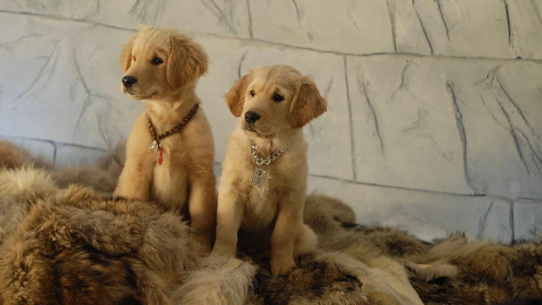 кадр из фильма Снежная пятёрка