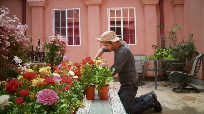 кадр из фильма Love Blossoms