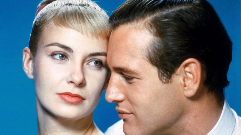 кадр из фильма Долгое жаркое лето