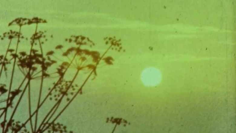 Мої вихідні