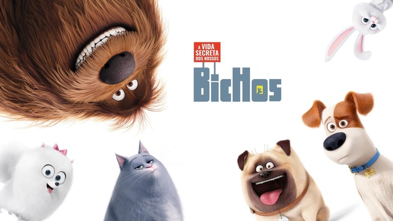кадр из фильма Тайная жизнь домашних животных