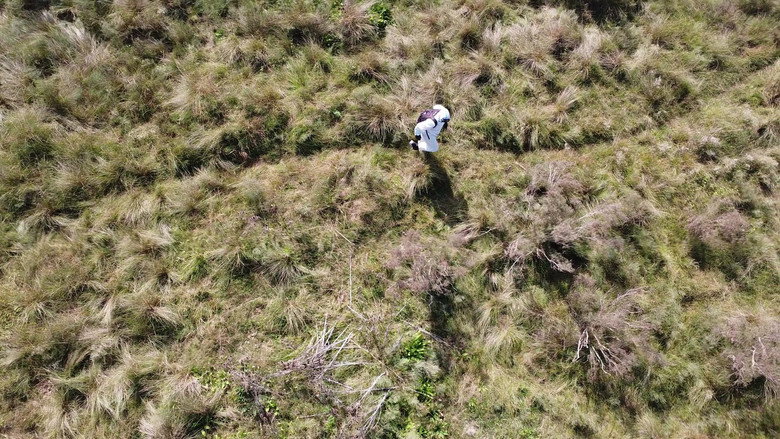 кадр из фильма El Internauta