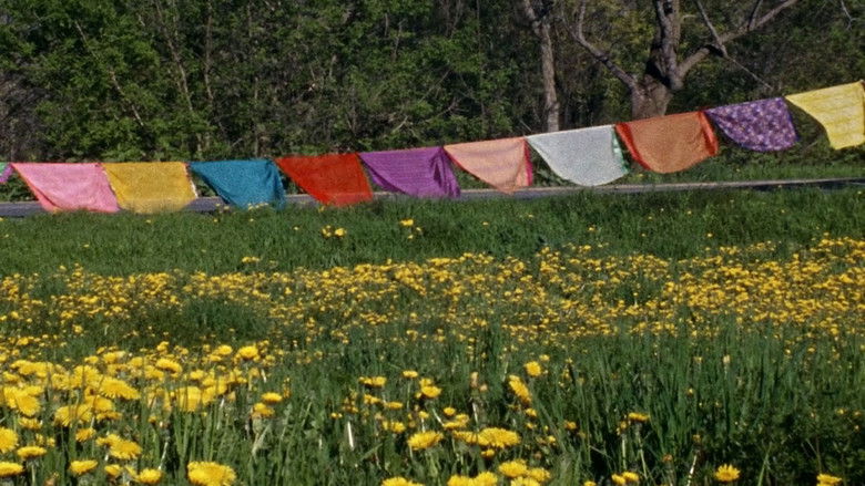 кадр из фильма The Grand Bizarre